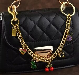 Gold Charmed Jewelry Key Chain Strap